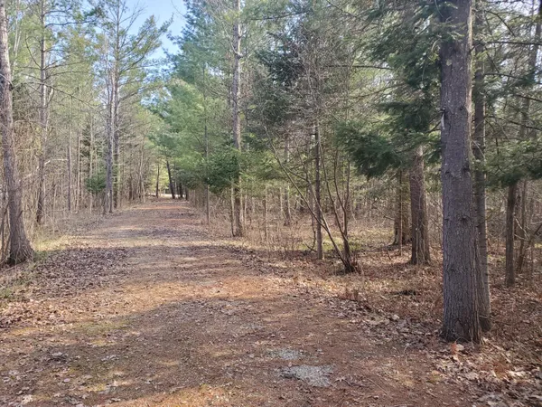 $162,900 | Eagles Nest Way, Gladwin, MI 48624