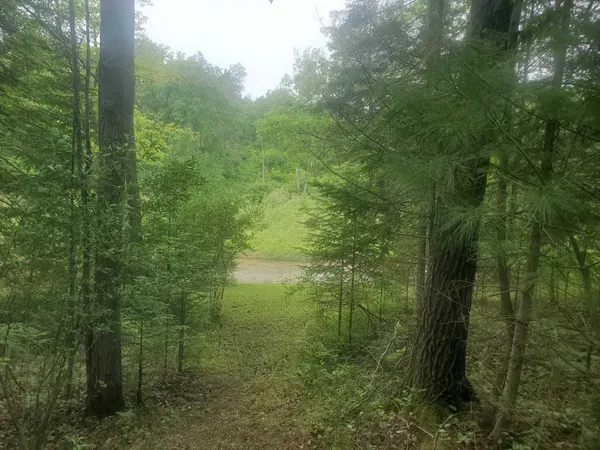 $162,900 | Eagles Nest Way, Gladwin, MI 48624