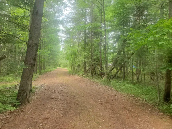 $162,900 | Eagles Nest Way, Gladwin, MI 48624