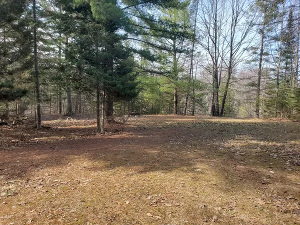 $162,900 | Eagles Nest Way, Gladwin, MI 48624