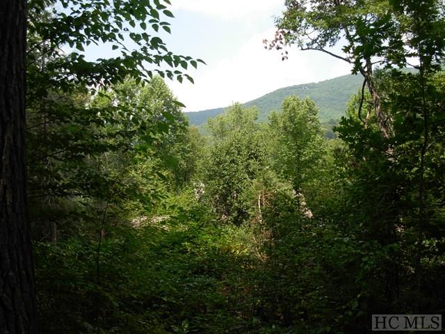 8 Rhododendron Run Road Sapphire, NC 28774 - Photo 1 of 1 Gallery Image 1