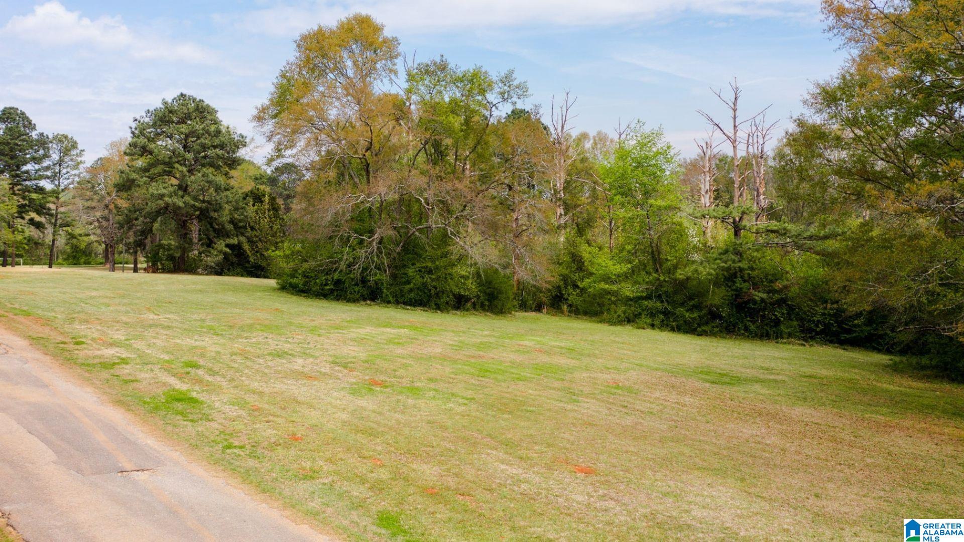 21 Carleton Point Drive, Unit 4 Wilsonville, AL 35186 - Photo 6 of 6