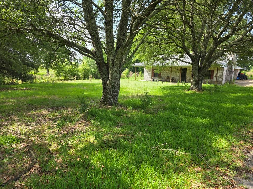 35218 Sunny Hill Road Mount Hermon, LA 70450 - Photo 5 of 17