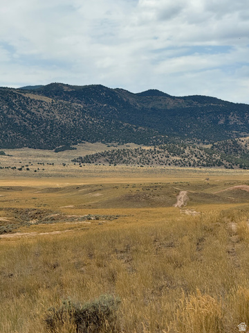 23 Old Dam Road, Unit 23 Levan, UT 84639 - Photo 8 of 17