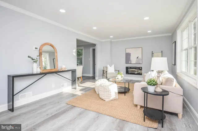 a living room with furniture a rug and a potted plant