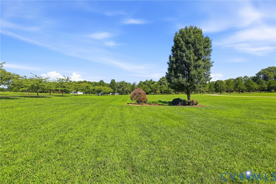 16225 Parrish Farm Road Montpelier, VA 23192 - Photo 53 of 55 Expansive green lawn with mature trees under a cle