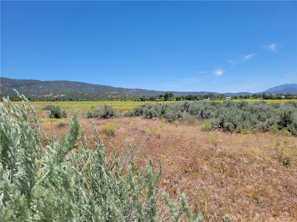 49 Bonita Vista Road Anza, CA 92539 - Photo 4 of 7