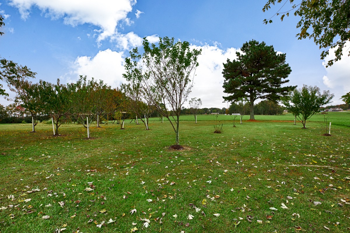 27404 Cedar Hill Road Ardmore, AL 35739 - Photo 27 of 32 a view of a park with large trees