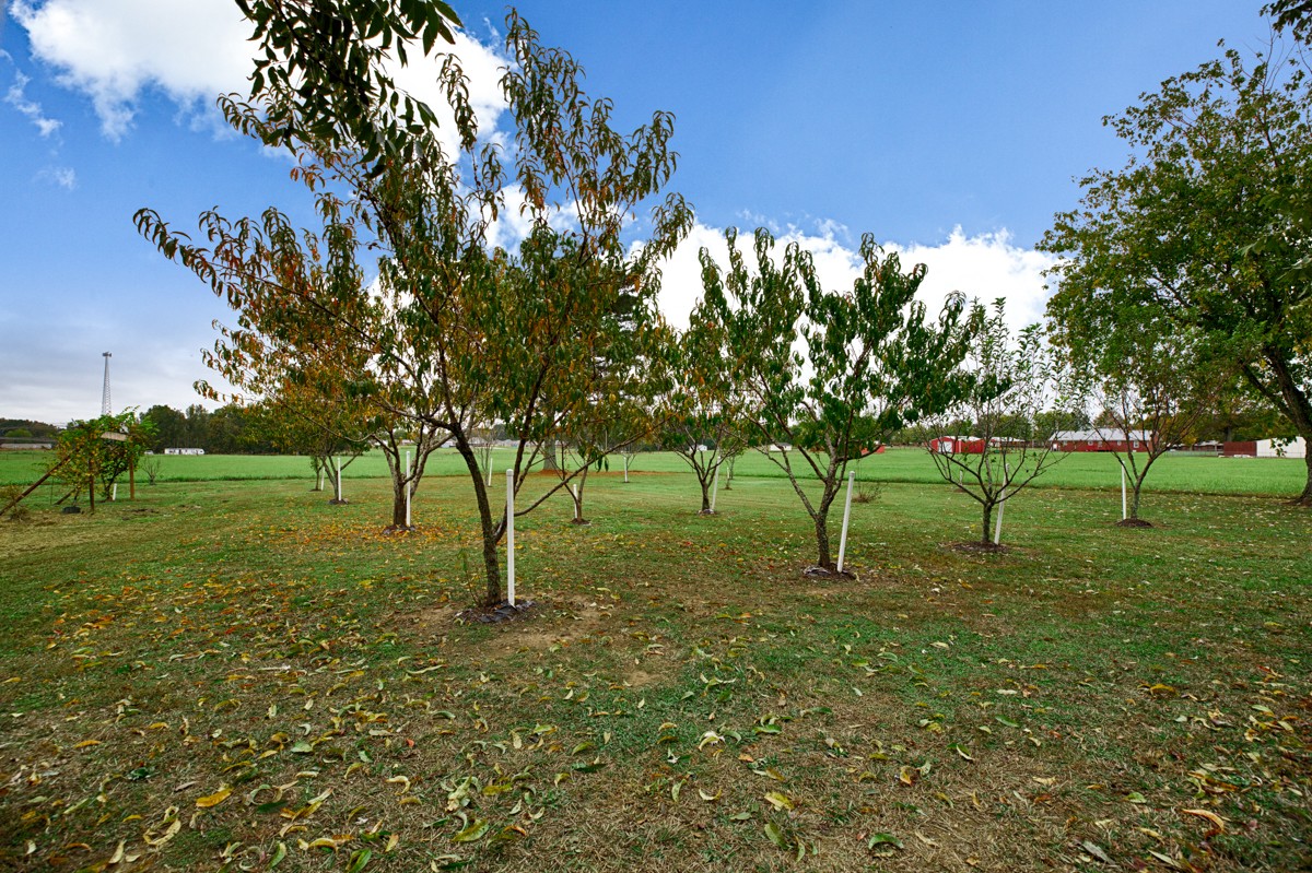 27404 Cedar Hill Road Ardmore, AL 35739 - Photo 28 of 32 a view of a park with large trees