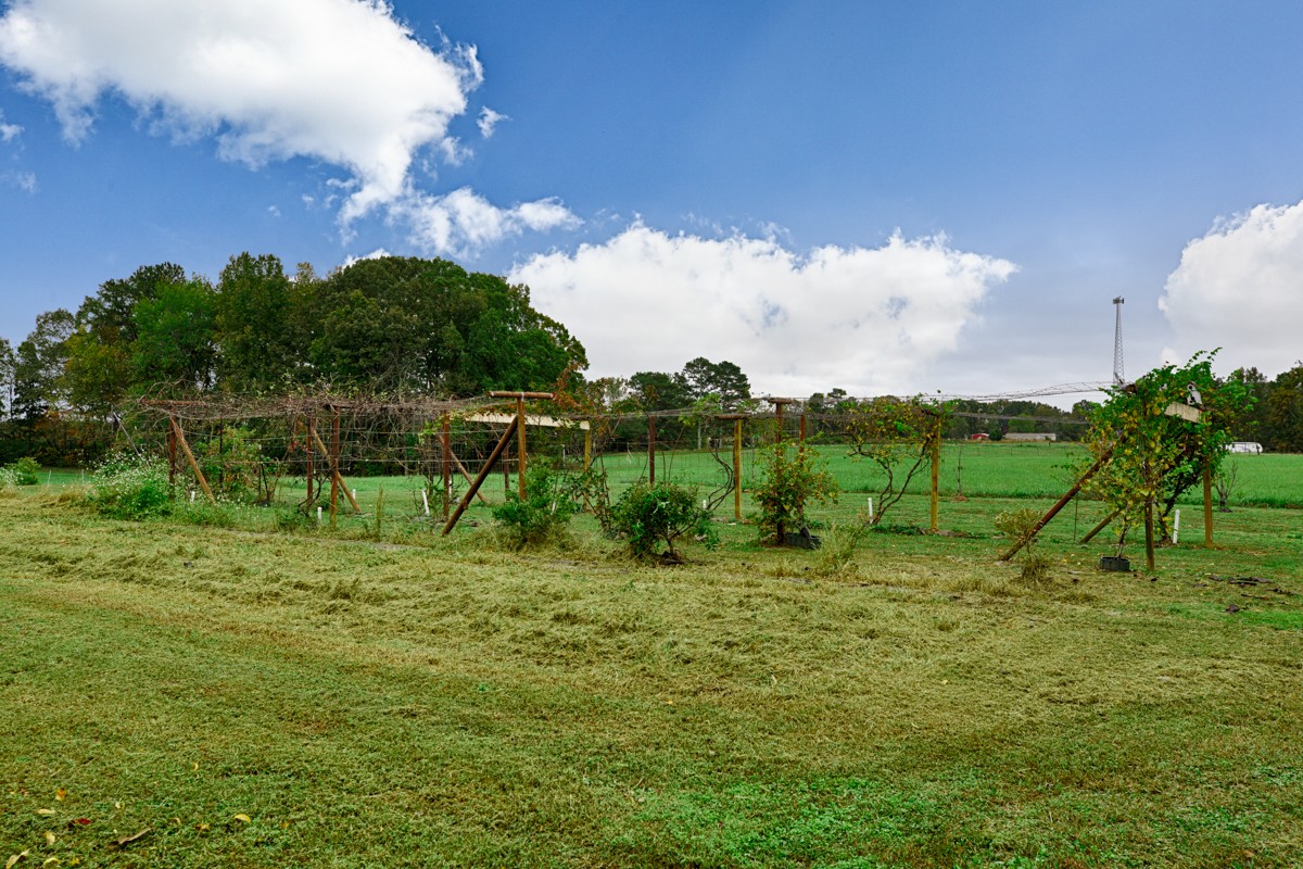 27404 Cedar Hill Road Ardmore, AL 35739 - Photo 29 of 32 a view of a garden