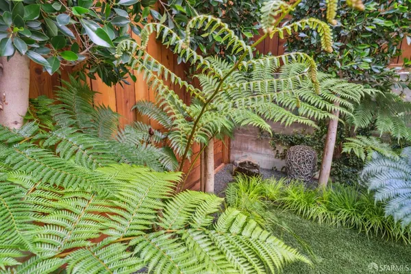 $25,000 | 7 Seymour Street, San Francisco, CA 94115