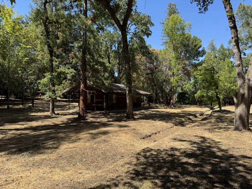 245 Bonita Road Portola Valley, CA 94028 - Photo 5 of 12