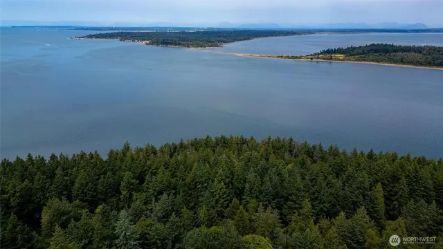 a view of an ocean and beach