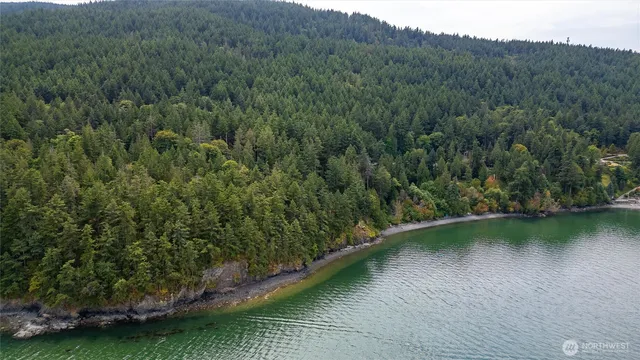 an aerial view of a house with a yard lake mountain and trees in the back