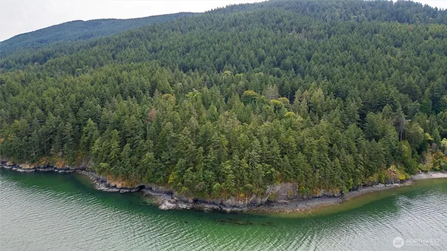 a view of a lake with green landscape
