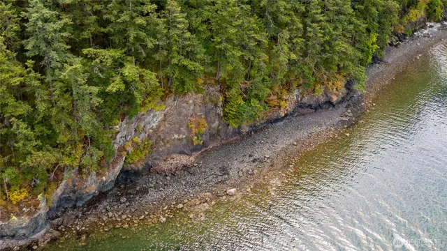 a view of a lake with plants and large trees