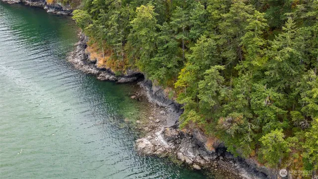 a view of a lake from a yard