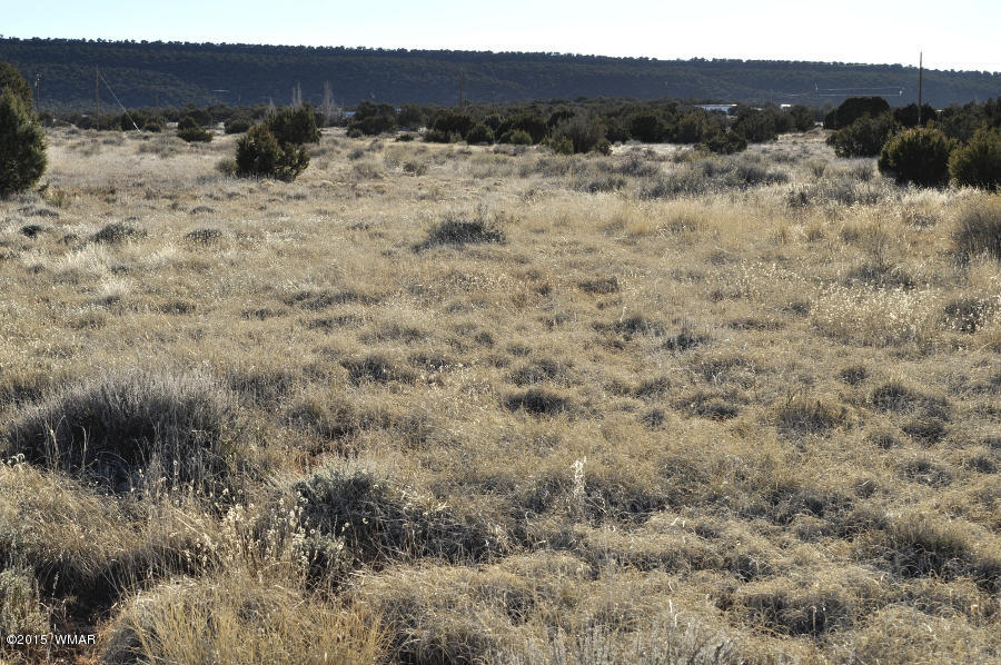 4092-4104 East Pinto Road Snowflake, AZ 85937 - Photo 12 of 15