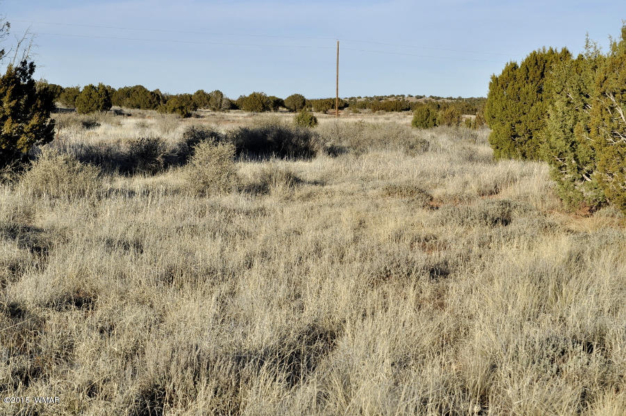 4092-4104 East Pinto Road Snowflake, AZ 85937 - Photo 13 of 15