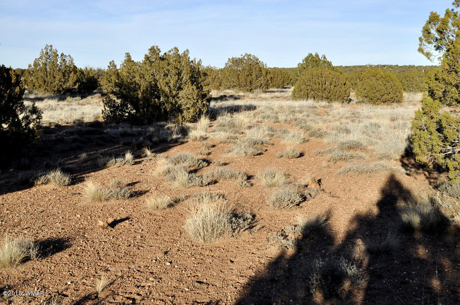 4092-4104 East Pinto Road Snowflake, AZ 85937 - Photo 14 of 15