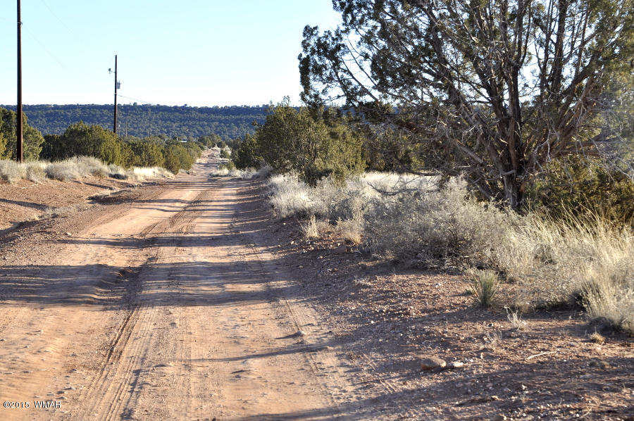 4092-4104 East Pinto Road Snowflake, AZ 85937 - Photo 3 of 15