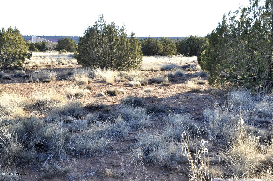 4092-4104 East Pinto Road Snowflake, AZ 85937 - Photo 4 of 15