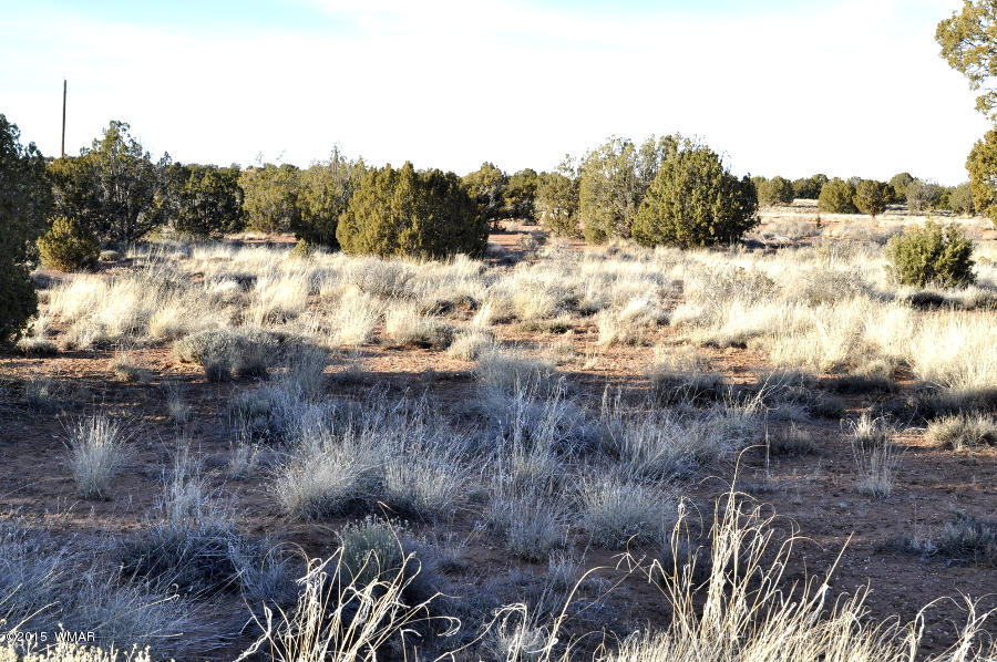 4092-4104 East Pinto Road Snowflake, AZ 85937 - Photo 5 of 15