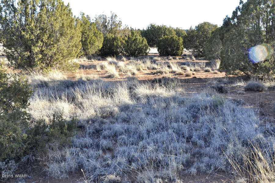 4092-4104 East Pinto Road Snowflake, AZ 85937 - Photo 6 of 15