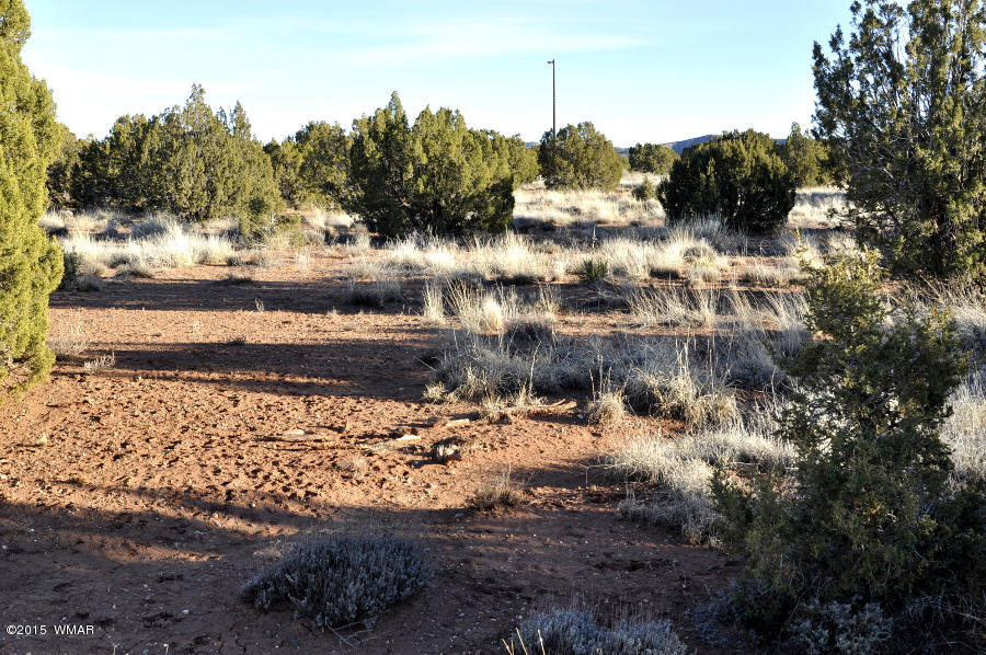 4092-4104 East Pinto Road Snowflake, AZ 85937 - Photo 7 of 15
