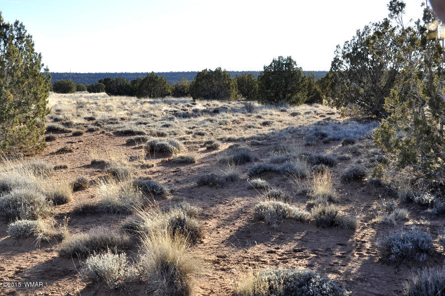 4092-4104 East Pinto Road Snowflake, AZ 85937 - Photo 8 of 15