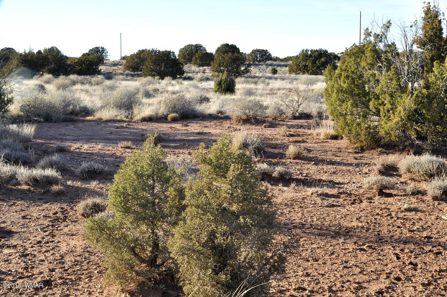 4092-4104 East Pinto Road Snowflake, AZ 85937 - Photo 9 of 15