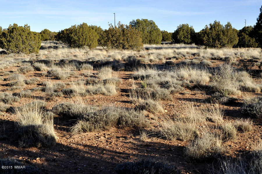 4092-4104 East Pinto Road Snowflake, AZ 85937 - Photo 10 of 15