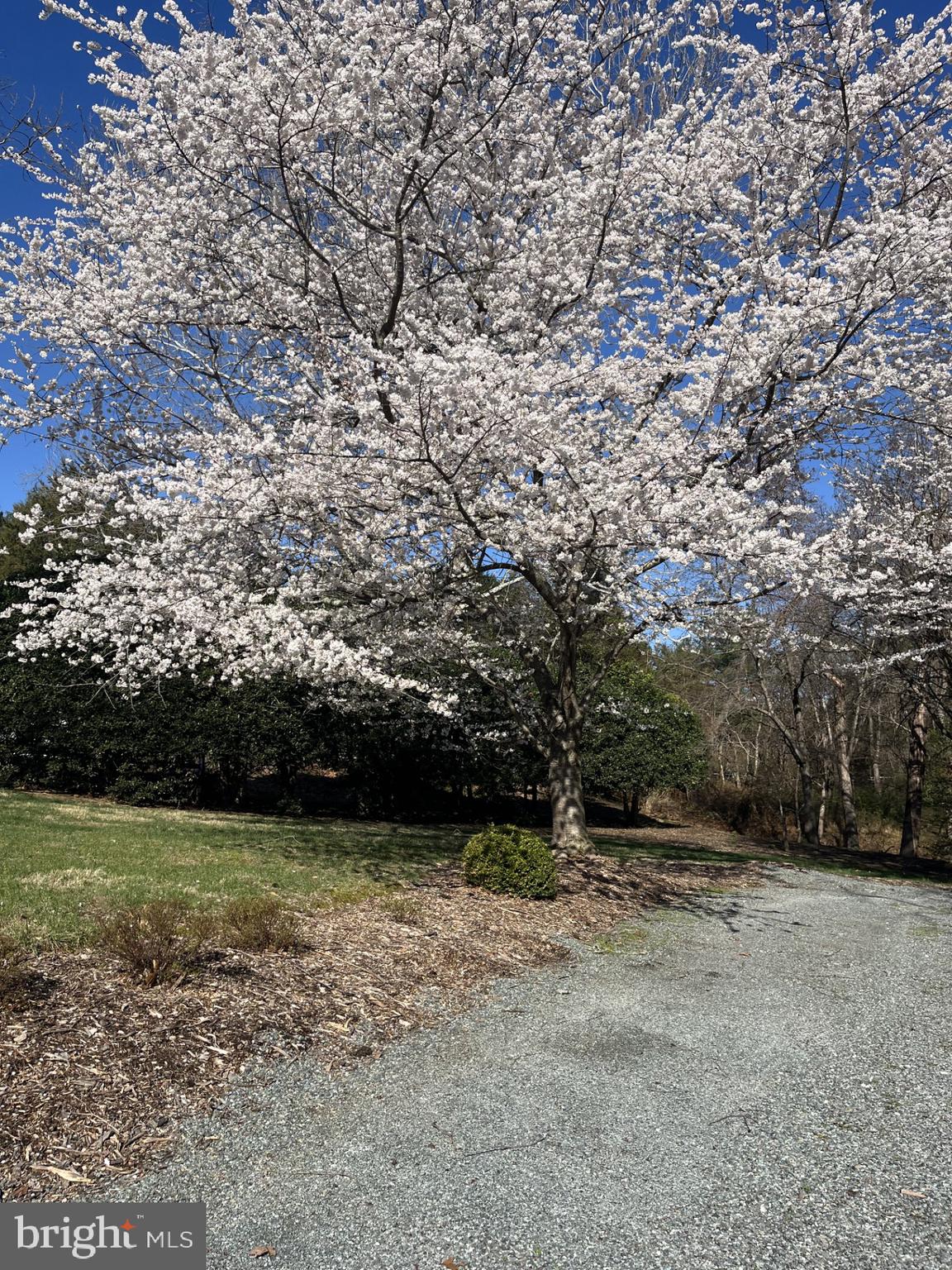 13821 Esworthy Road Darnestown, MD 20874 - Photo 70 of 98 Spring front yard view