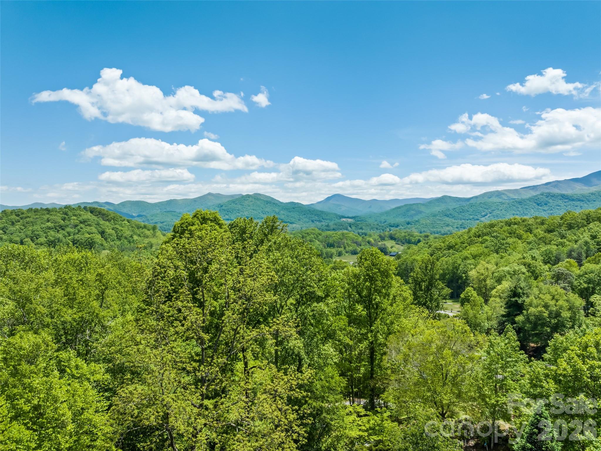 300 Kelley Springs Road Waynesville, NC 28786 - Photo 3 of 29