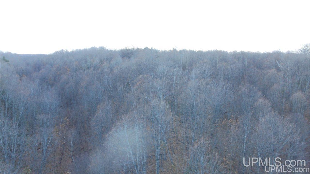 Tbd Youngs Road Gwinn, MI 49841 - Photo 33 of 48 Gallery Image 33
