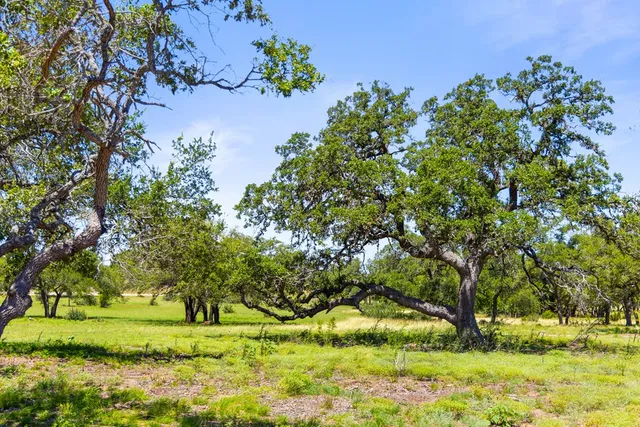 $394,000 | 936 Lindeman Lane, Blanco, TX 78606