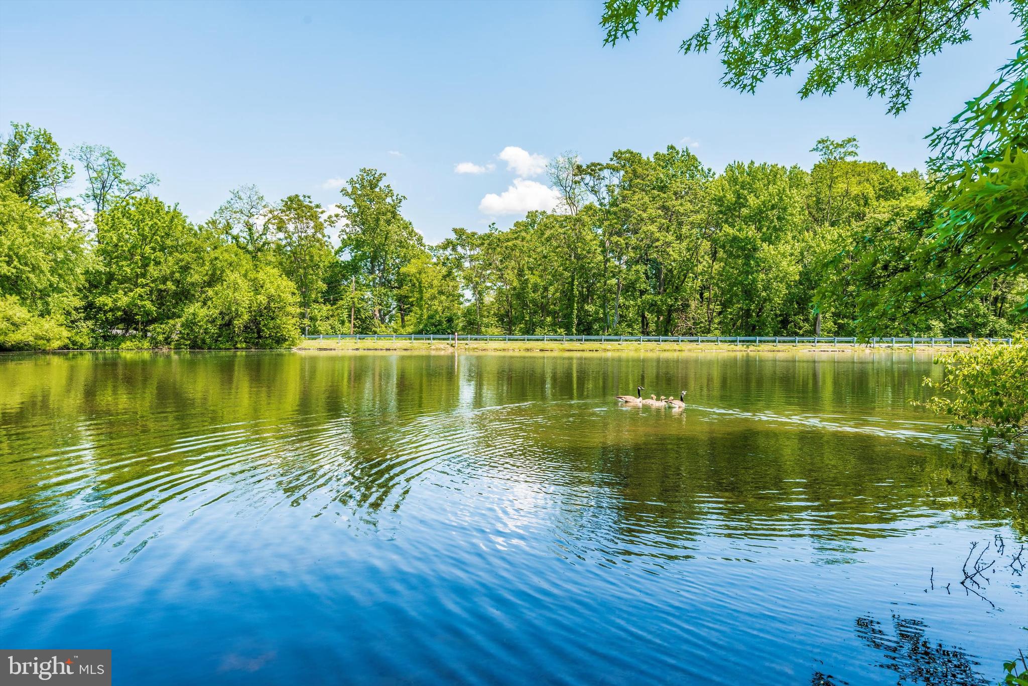 5600 Lakeview Drive Frederick, MD 21702 - Photo 52 of 55