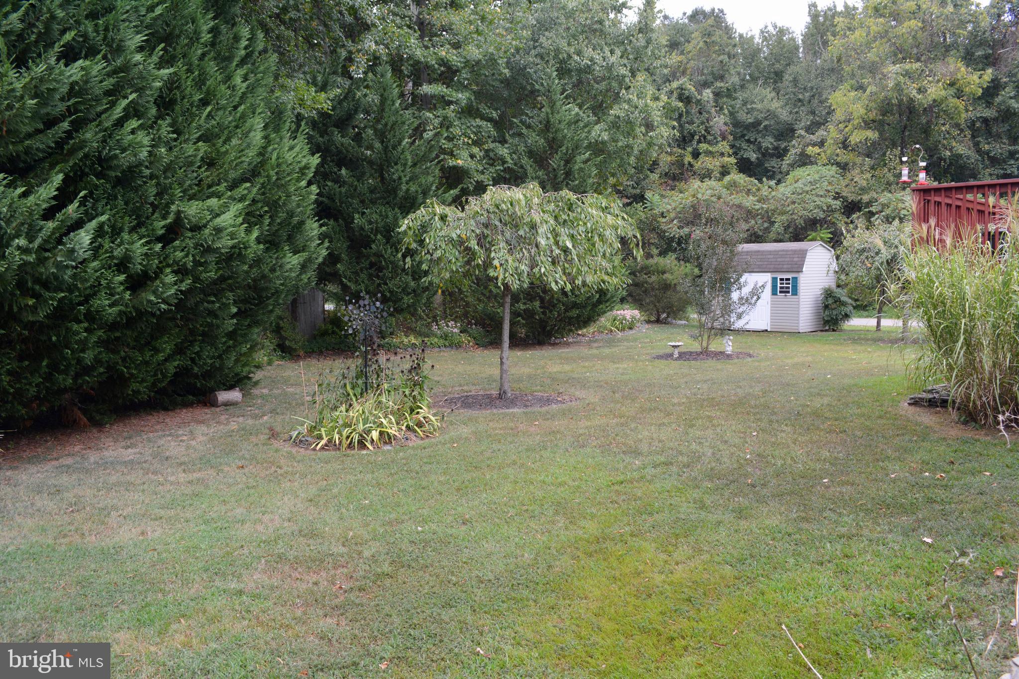 53 N Road Chesapeake City, MD 21915 - Photo 3 of 25 The backyard with its mature trees and beautiful l