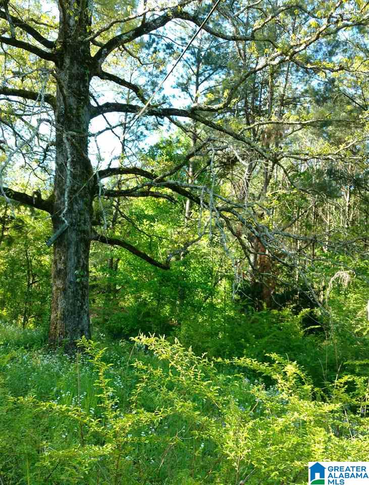 1055 Lynnwood Road Sylacauga, AL 35150 - Photo 19 of 28