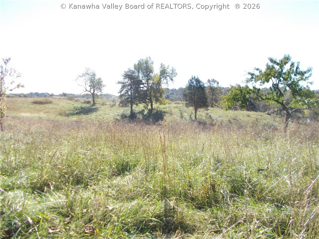 0 Flat Foot Road Apple Grove, WV 25502 - Photo 3 of 11 Gallery Image 3
