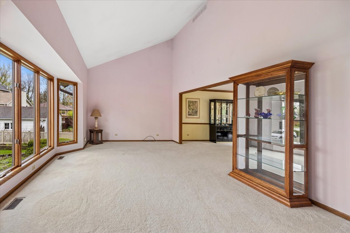 6037 Dunham Road Downers Grove, IL 60516 - Photo 6 of 40