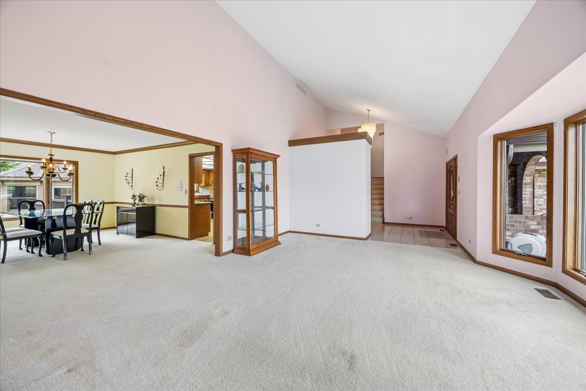 6037 Dunham Road Downers Grove, IL 60516 - Photo 7 of 40