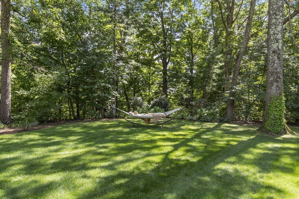 77 Revolutionary Road Concord, MA 01742 - Photo 42 of 42 a view of a field with an trees