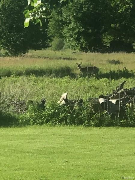 4488 Clegg Road Ottawa Lake, MI 49267 - Photo 25 of 30 o25.jpeg