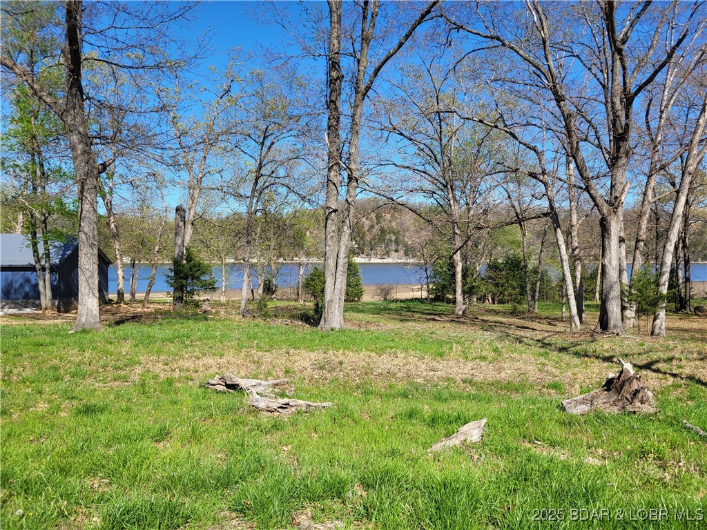 Emerald Hills Drive Edwards, MO 65326 - Photo 3 of 9