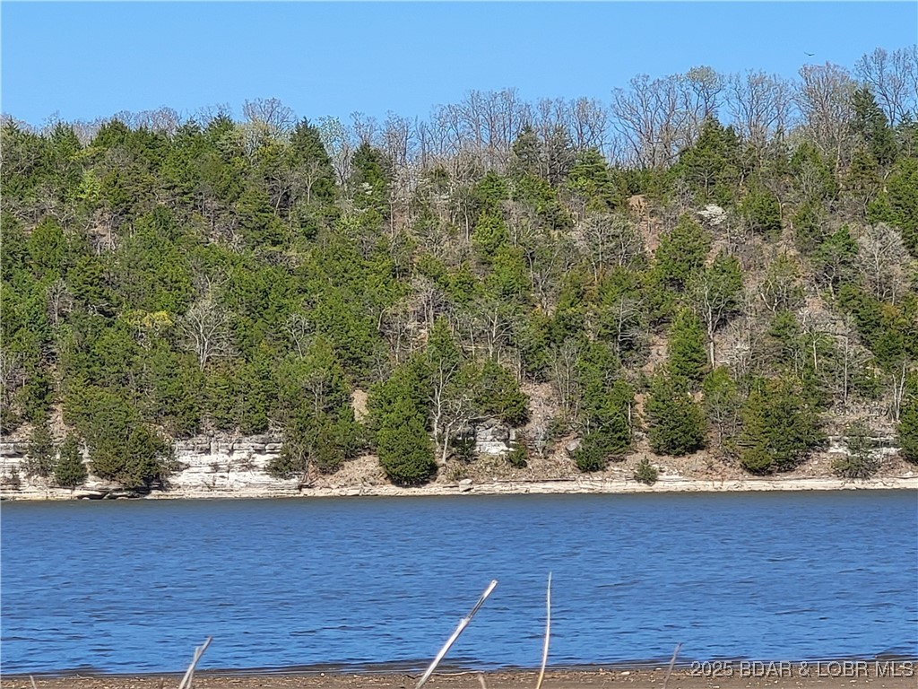 Emerald Hills Drive Edwards, MO 65326 - Photo 6 of 9