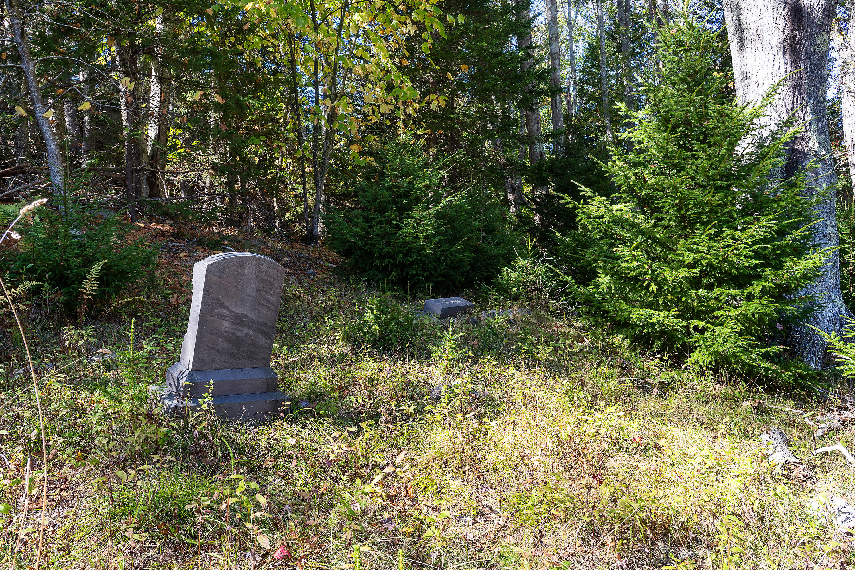 12 Long Island Georgetown, ME 04548 - Photo 121 of 122 Gilbert Head Long Is_237