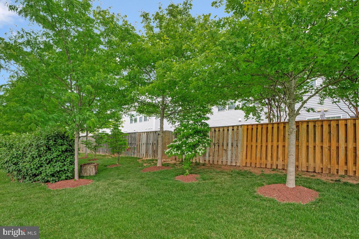42523 Benfold Square Brambleton, VA 20148 - Photo 29 of 29 a backyard of a house with lots of green space