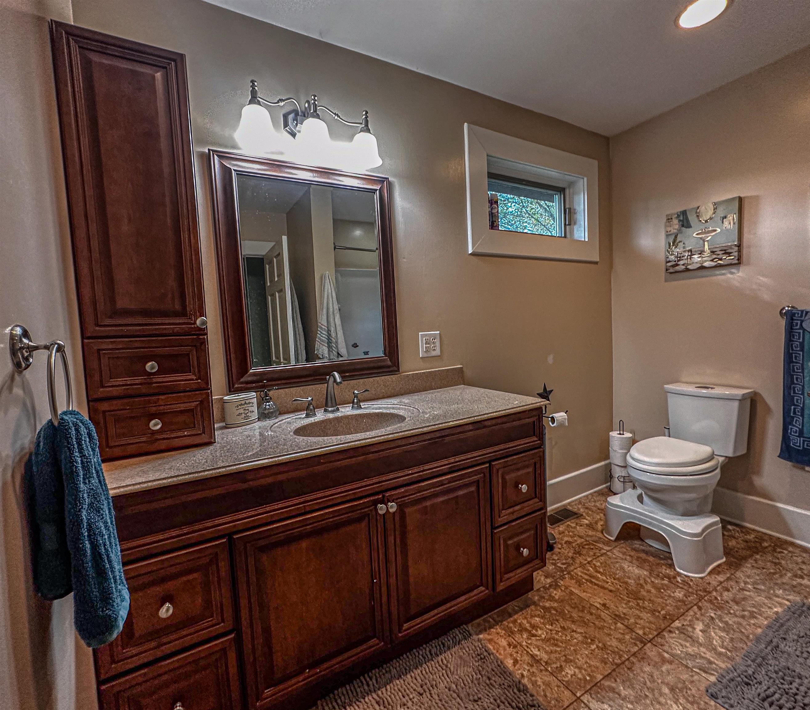 19 Mt Hermon Road Middlebrook, VA 24459 - Photo 53 of 70 a bathroom with a sink a toilet and mirror