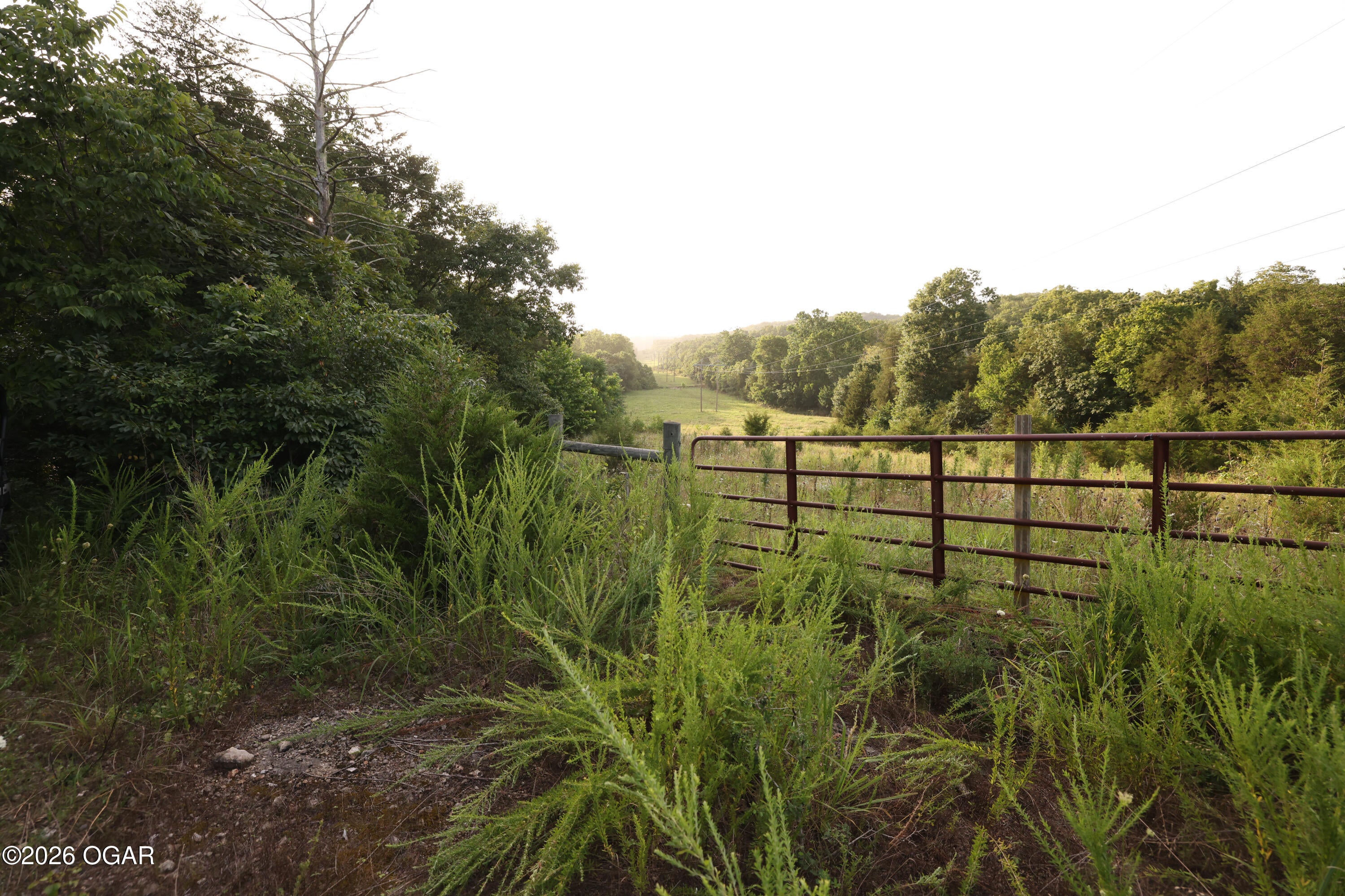 861 Tilden Road Galena, MO 65656 - Photo 48 of 67 Gallery Image 48